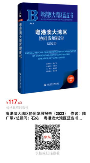 大湾区蓝皮书 大湾区蓝皮书