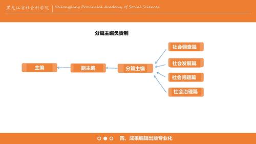 王爱丽：蓝皮书经验分享3_页面_13