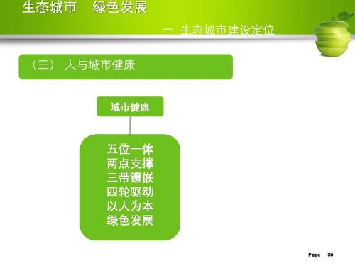 刘举科-生态城市、绿色发展—生态城市绿皮书研创的专业化与规范性实践_页面_30