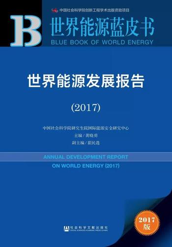 世界能源蓝皮书3