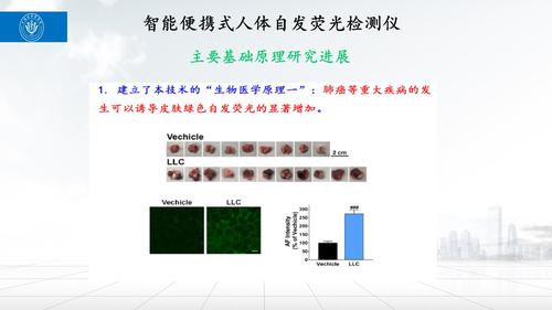 幻灯片19