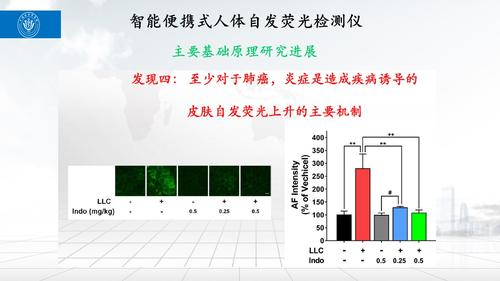 幻灯片21