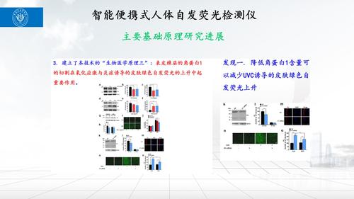 幻灯片22