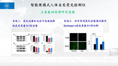 幻灯片23