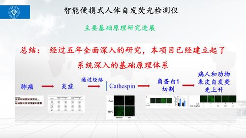 幻灯片25