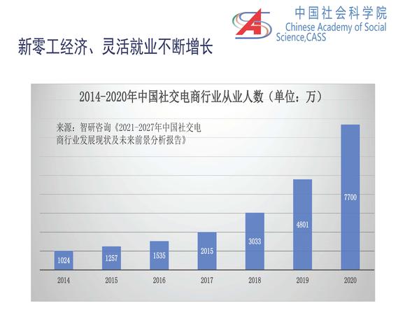 李培林 当前社会形势2021_页面_16