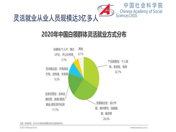 李培林 当前社会形势2021_页面_17