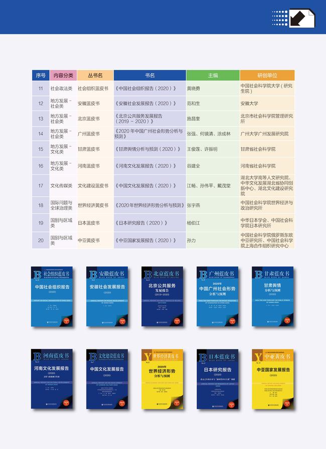 2021皮书年会评奖册子正文 9.27_页面_13