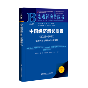 中国经济增长报告（2021～2022）：低碳转型与绿色可持续发展（978-7-5228-0754-6）_立体书影
