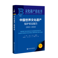 中国世界文化遗产保护状况报告（2021～2022）（978-7-5228-1115-4）_立体书影