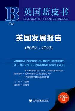 英国发展报告（2022～2023）（978-7-5228-3370-5）_正封面缩略图